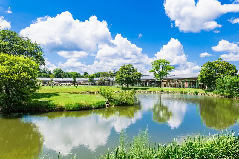軽井沢・プリンスショッピングプラザの風景
